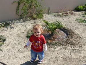 post-1782-0-07774000-1378186966_thumb.jp