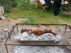 post-1782-064517000 1334750413_thumb.jpg