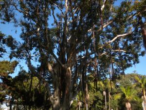 post-1786-044588400 1312072670_thumb.jpg