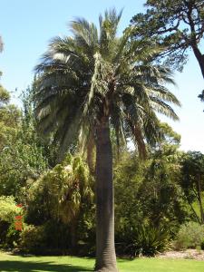 post-180-003047500 1315406987_thumb.jpg