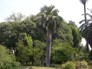 post-180-061563100 1315407072_thumb.jpg