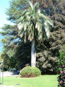 post-180-082958200 1315407042_thumb.jpg