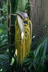 post-1839-001330100 1339479178_thumb.jpg