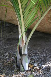 post-1839-037855000 1339512823_thumb.jpg