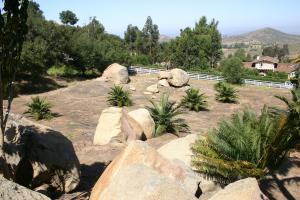 post-1839-040394300 1339592736_thumb.jpg