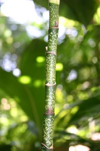 post-1839-055871000 1339766662_thumb.jpg