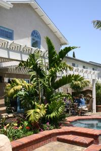 post-1839-059444600 1339478797_thumb.jpg