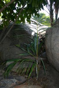 post-1839-071970500 1339513049_thumb.jpg