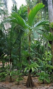 post-19-009626600 1331492936_thumb.jpg