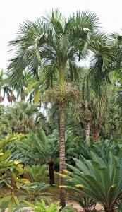 post-19-013536900 1331495368_thumb.jpg