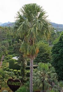 post-19-027054300 1331495518_thumb.jpg