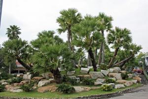 post-19-031374700 1331492136_thumb.jpg