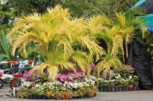 post-19-034855600 1331492315_thumb.jpg