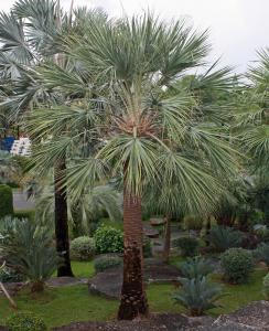 post-19-038268600 1331493722_thumb.jpg