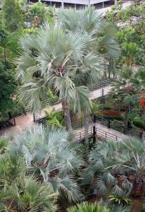 post-19-039626300 1331493737_thumb.jpg