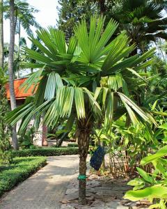 post-19-042958400 1331493516_thumb.jpg