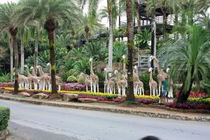 post-19-050589000 1331408441_thumb.jpg