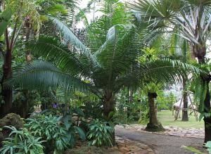 post-19-051684800 1331493987_thumb.jpg