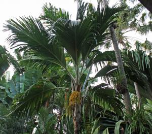 post-19-055148600 1331492920_thumb.jpg