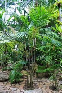 post-19-056854100 1331495446_thumb.jpg