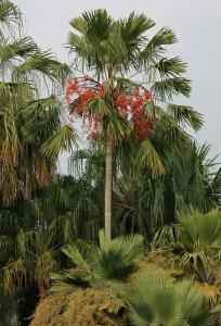 post-19-058116600 1331495421_thumb.jpg