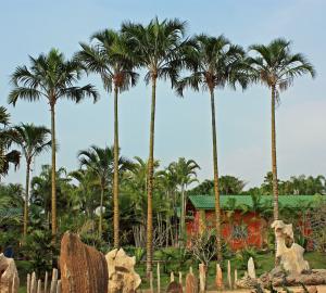 post-19-061473700 1331493830_thumb.jpg