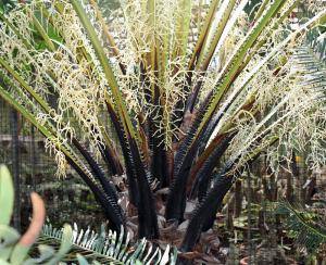 post-19-062380100 1331495030_thumb.jpg