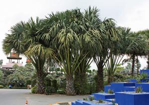 post-19-069014800 1331494745_thumb.jpg