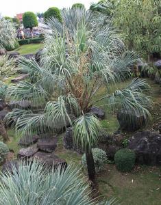 post-19-069155400 1331493700_thumb.jpg