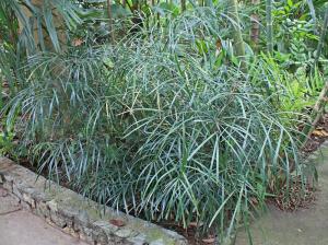 post-19-081428000 1331494478_thumb.jpg