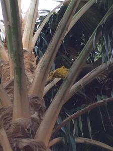 post-1905-0-89928000-1400630960_thumb.jp