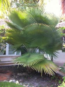 post-1905-042773900 1315949585_thumb.jpg