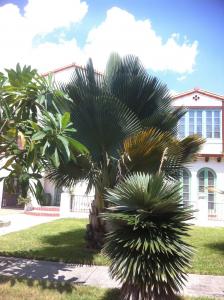 post-1905-043102900 1316025322_thumb.jpg