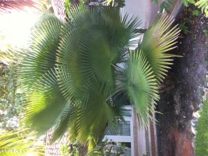 post-1905-061377200 1315946429_thumb.jpg