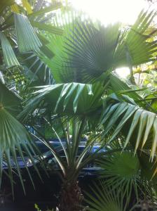 post-1905-094141200 1316126945_thumb.jpg