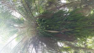 post-1930-0-24787500-1440957170_thumb.jp