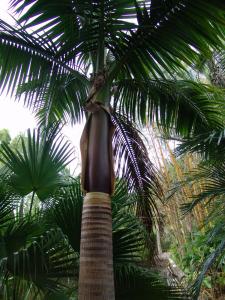 post-1930-0-73371300-1377615386_thumb.jp