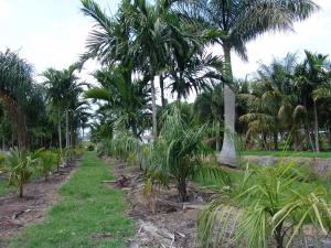 post-1930-0-85108500-1368878864_thumb.jp