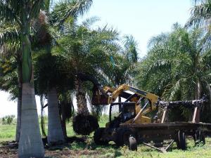 post-1930-0-93809000-1392342411_thumb.jp