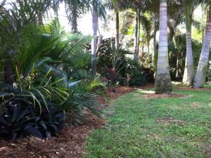 post-202-072296200 1326131198_thumb.jpg