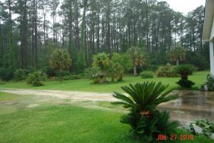 post-2047-0-12076700-1404175039_thumb.jp