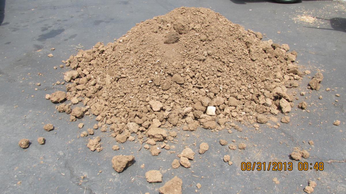 Labor Day Weekend Palm Mania in Southern California DISCUSSING PALM