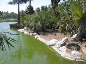 post-208-028937100 1312776400_thumb.jpg