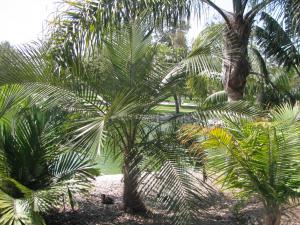 post-208-034083000 1312777122_thumb.jpg