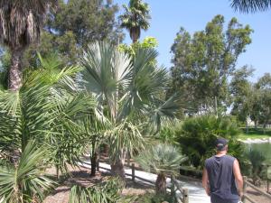 post-208-035598500 1312776492_thumb.jpg