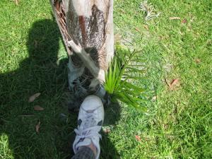 post-208-036014100 1312775313_thumb.jpg