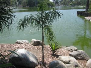 post-208-054491200 1312776318_thumb.jpg