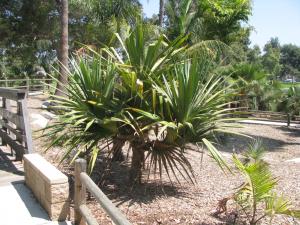 post-208-061913700 1312776708_thumb.jpg