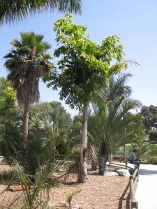 post-208-070875200 1312777007_thumb.jpg