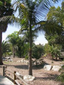 post-208-093666100 1312776123_thumb.jpg